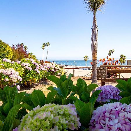Edgewater Beach Inn Σάντα Κρουζ Εξωτερικό φωτογραφία