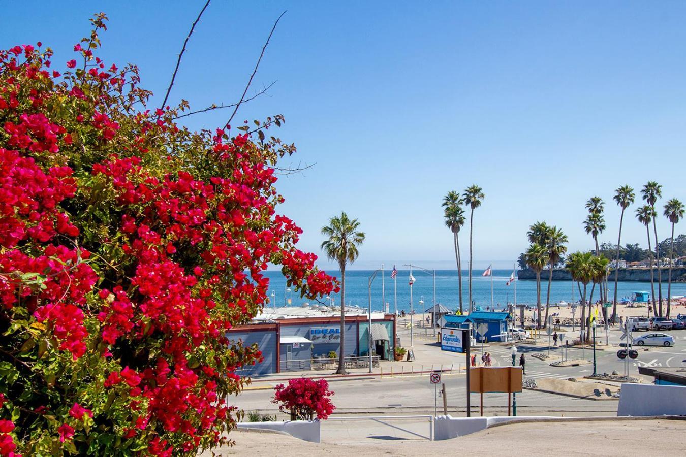 Edgewater Beach Inn Σάντα Κρουζ Εξωτερικό φωτογραφία