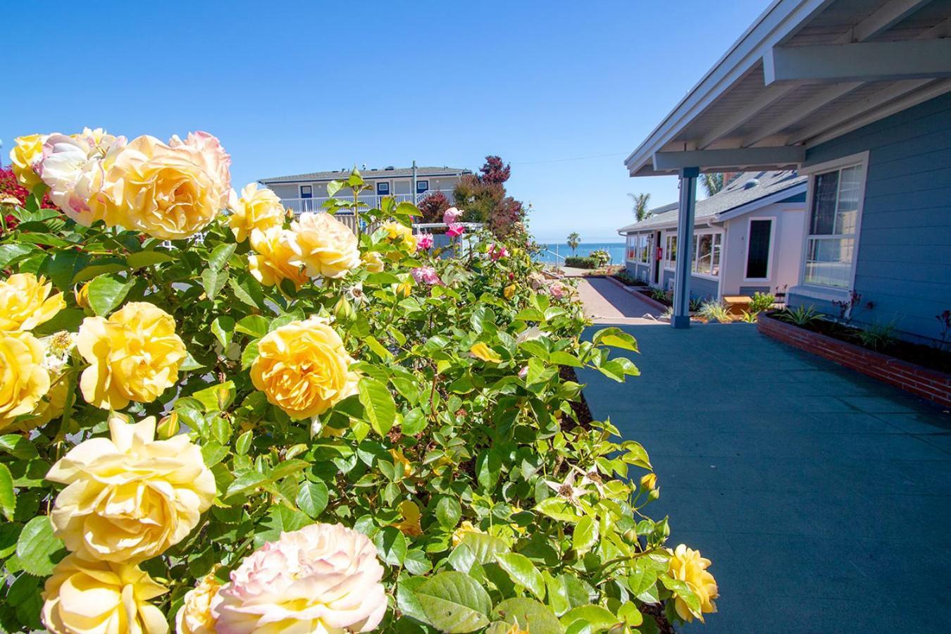 Edgewater Beach Inn Σάντα Κρουζ Εξωτερικό φωτογραφία